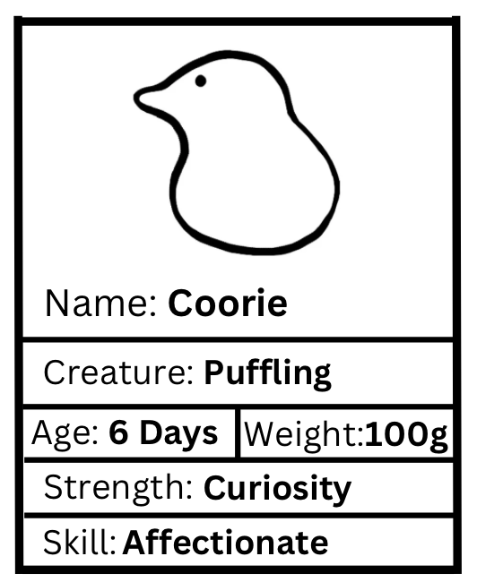 Coorie Worrywart (bird)