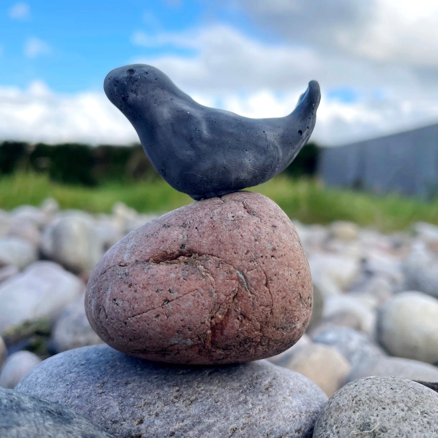 Selkie Worrywart (Harbour Seal)