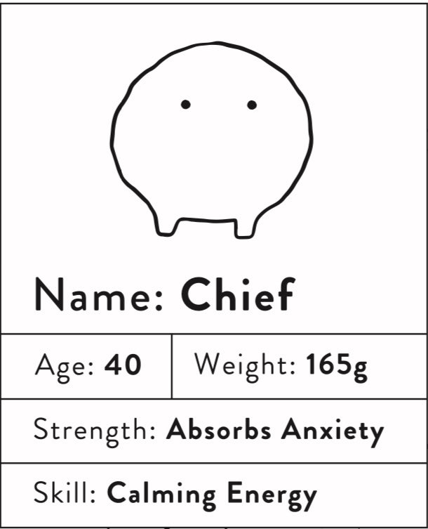 Chief Worrywart