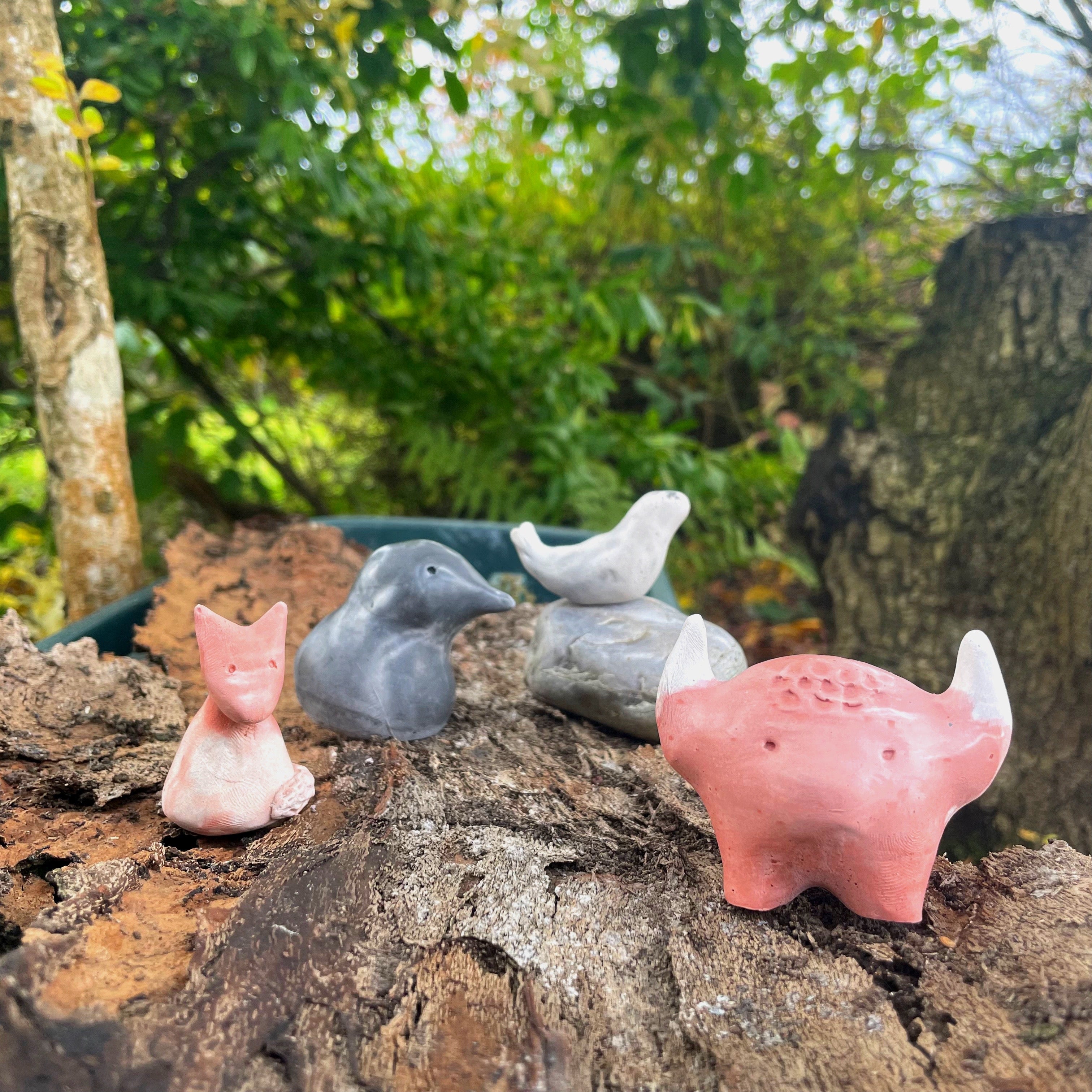 The Worrywarts: Wild Collection – Cured