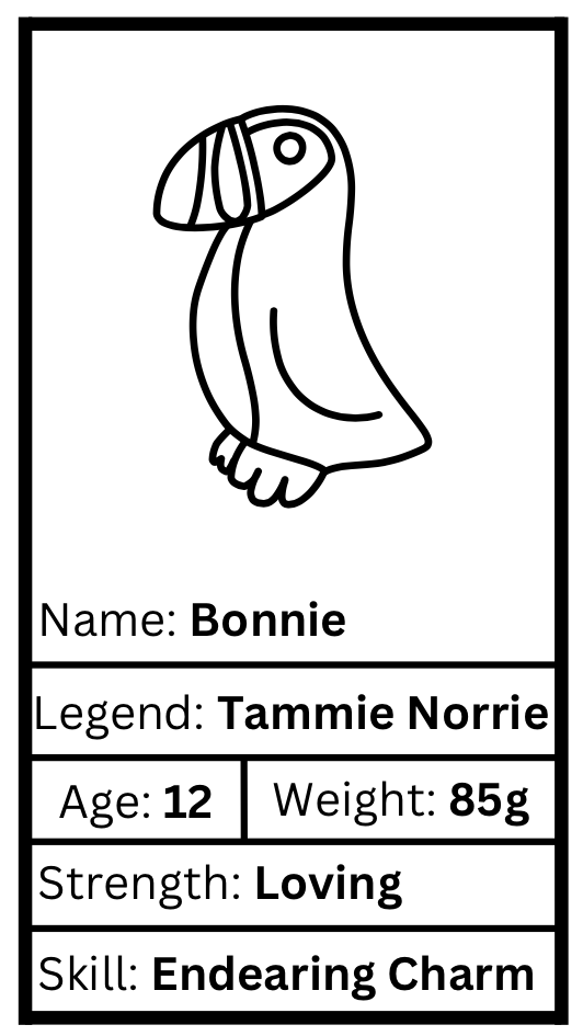 Bonnie Worrywart - Puffin