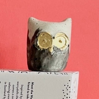 Wise Worrywart (Owl)