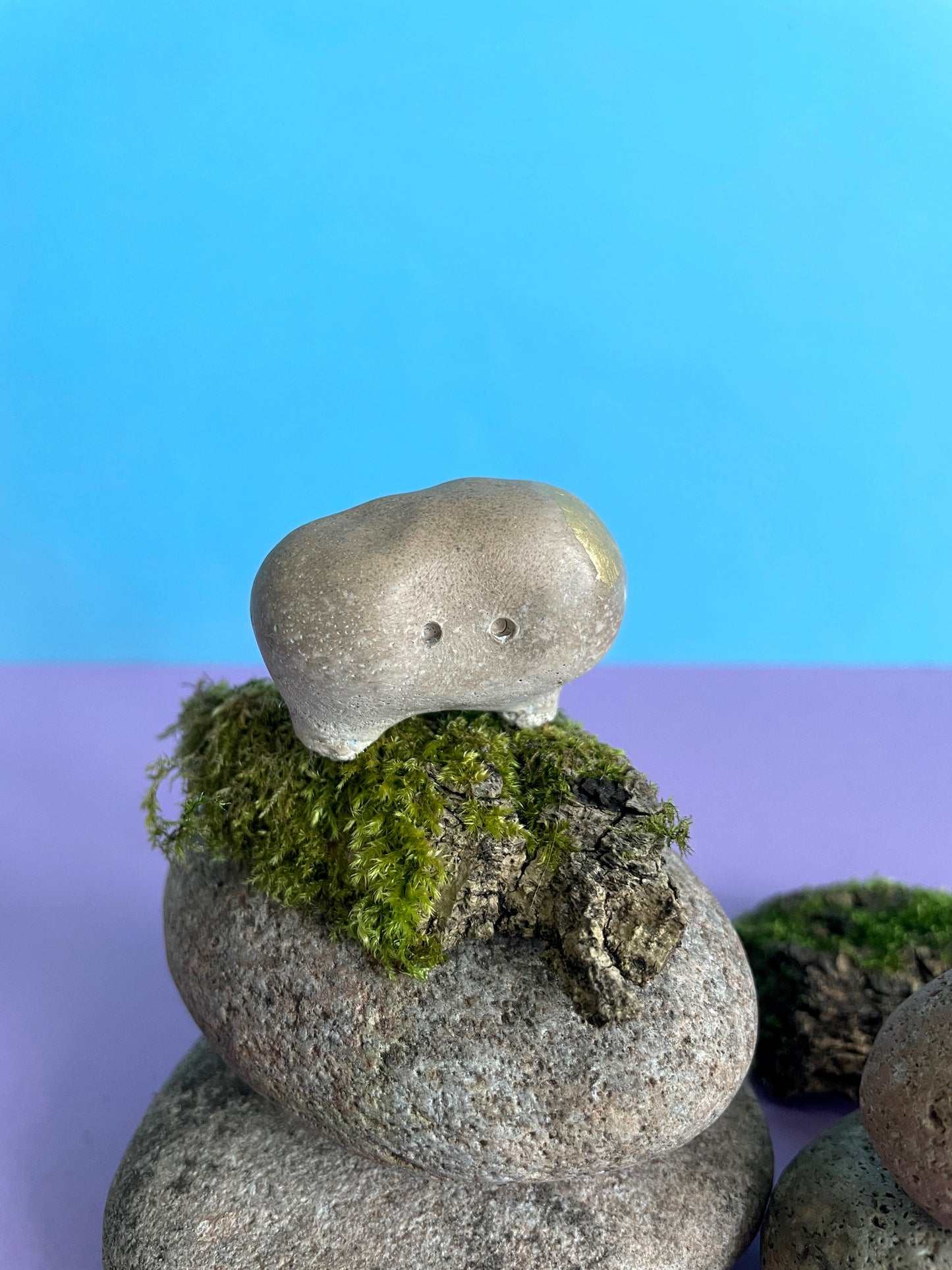 Dinky Worrywart