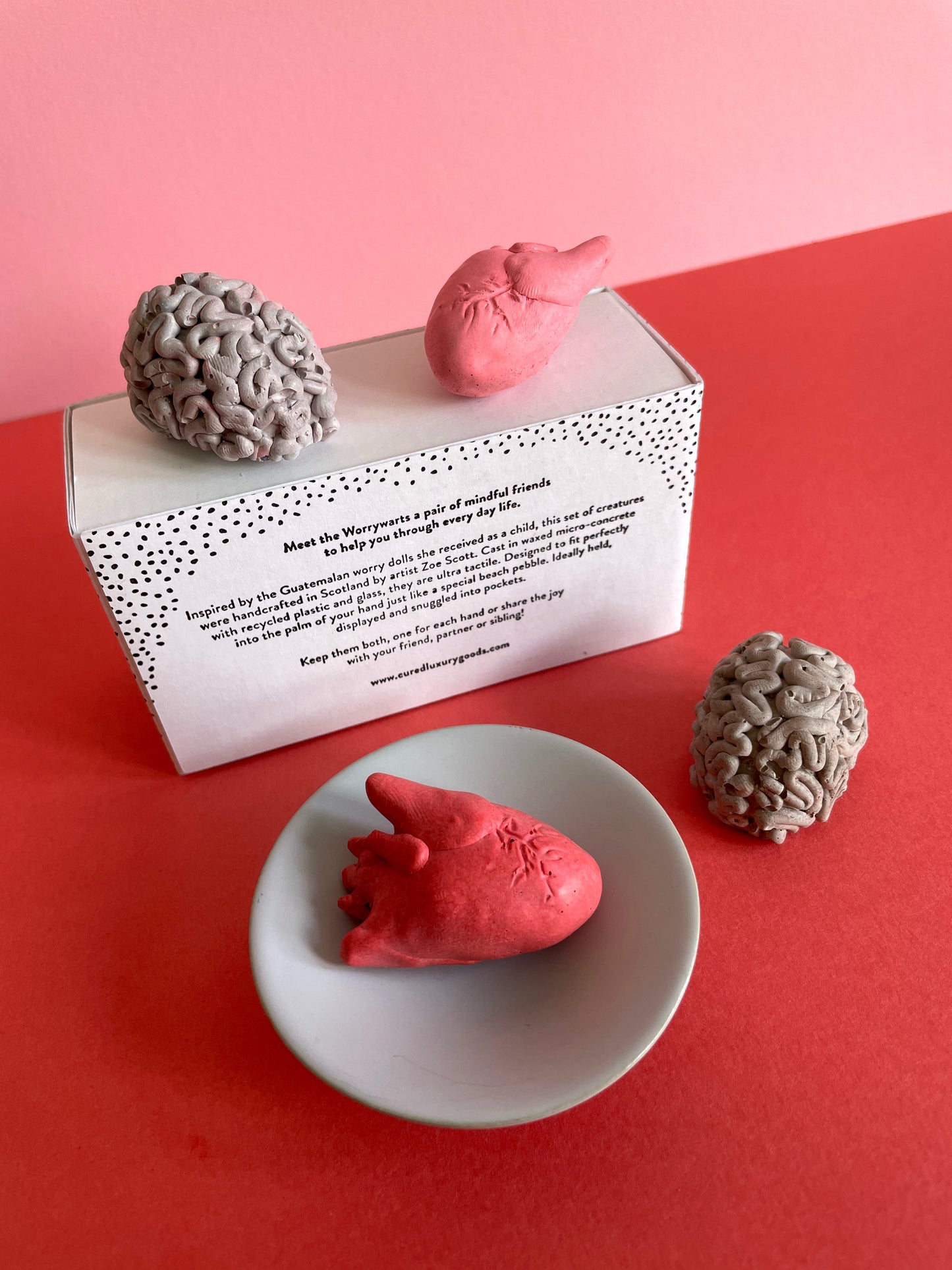 Mini Duo - Anatomical Thinking