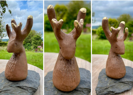 Noble Worrywart (Stag)