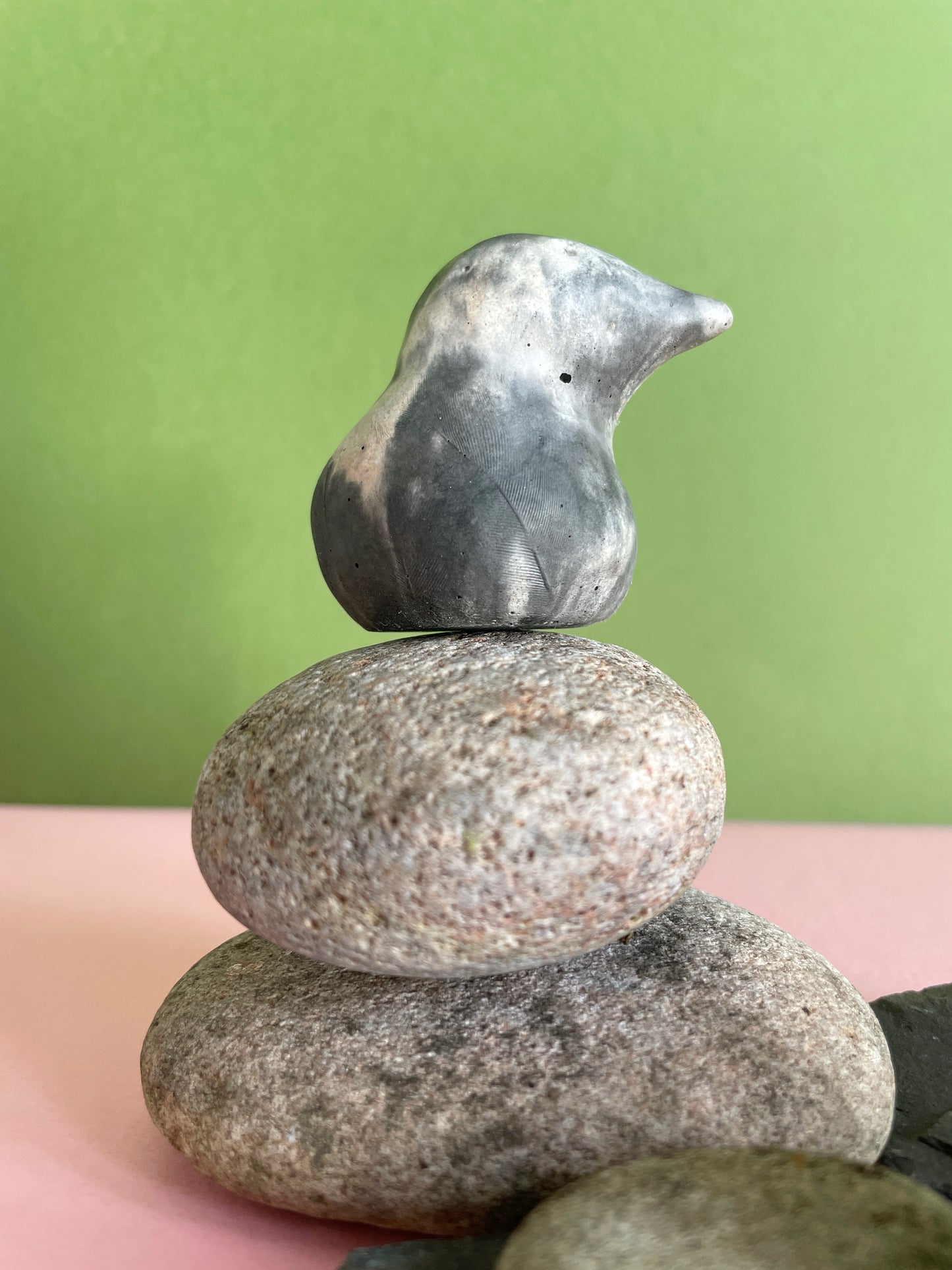 Coorie Worrywart (bird)