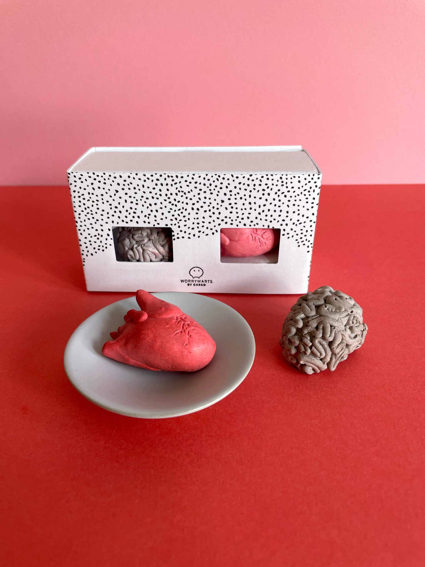 Mini Duo - Anatomical Thinking