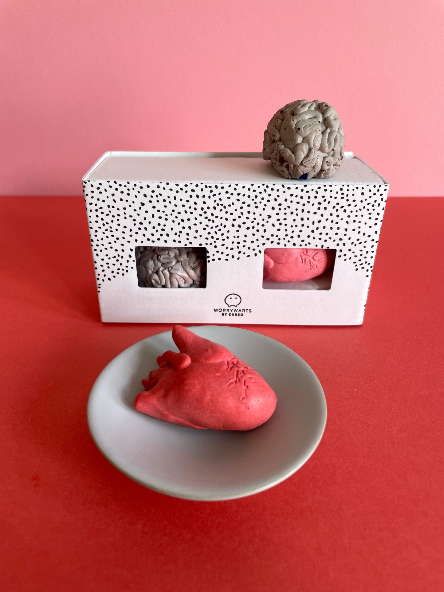 Mini Duo - Anatomical Thinking