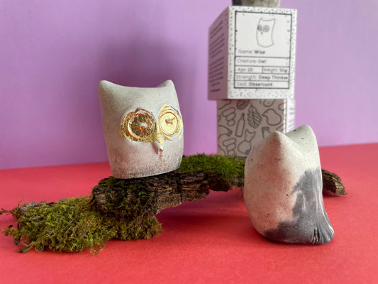 Wise Worrywart (Owl)