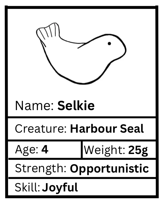 Selkie Worrywart (Harbour Seal)